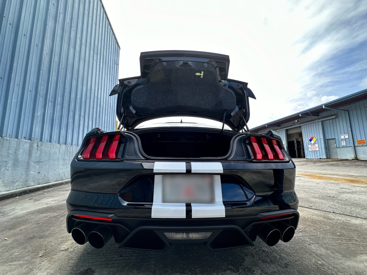 2020 Ford Shelby Mustang Gt500 Preview 05