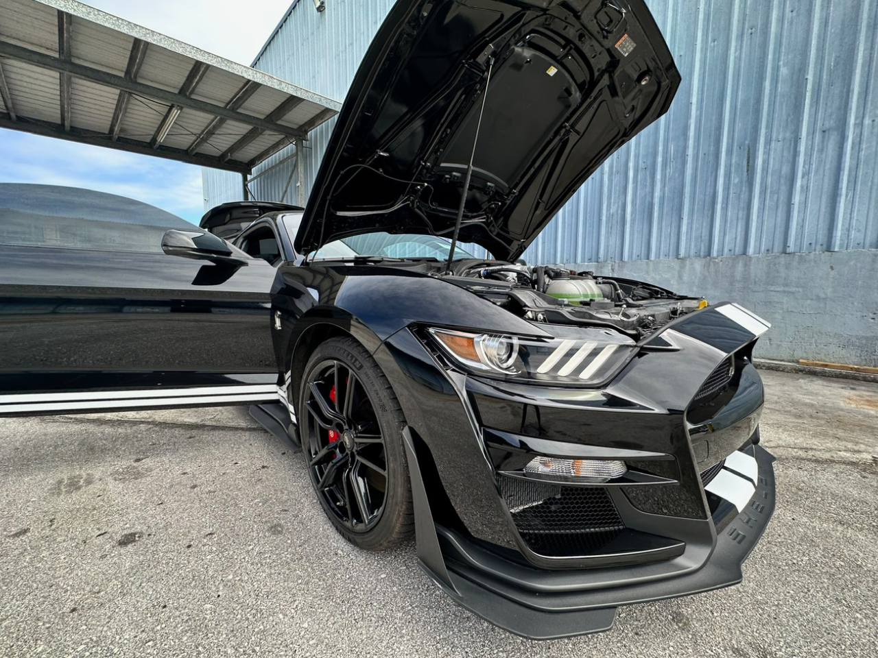 2020 Ford Shelby Mustang Gt500 Preview 12